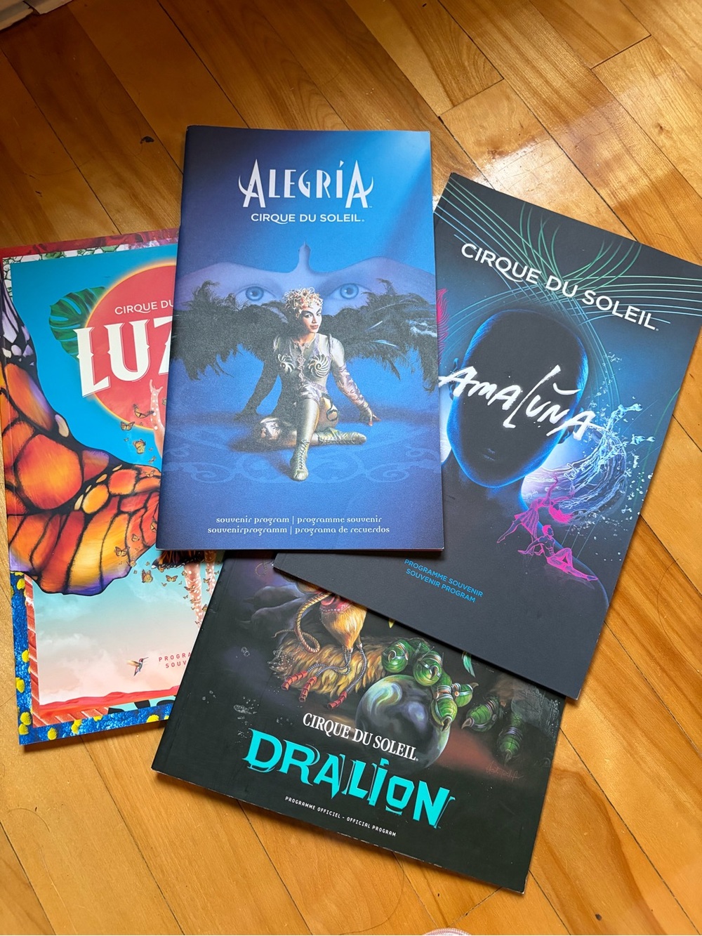 Cirque du Soleil Souvenir Programs - Blue & Black Cover Set